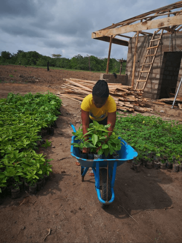 Organic Farming