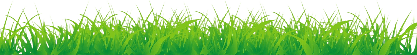 Grass border