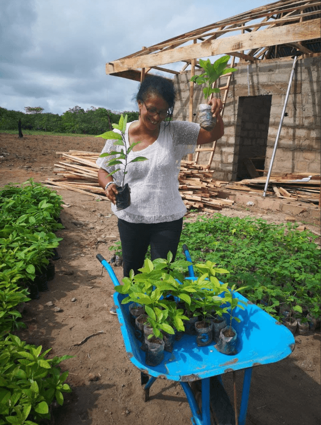 Woman with plants in a blue wheelbarrow